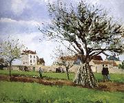 Camille Pissarro Pang map of apple Schwarz oil painting on canvas